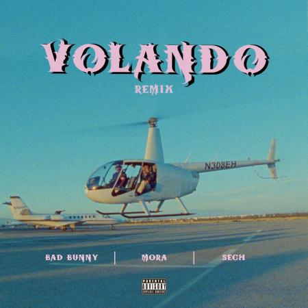 Bad Bunny - Mora - Volando